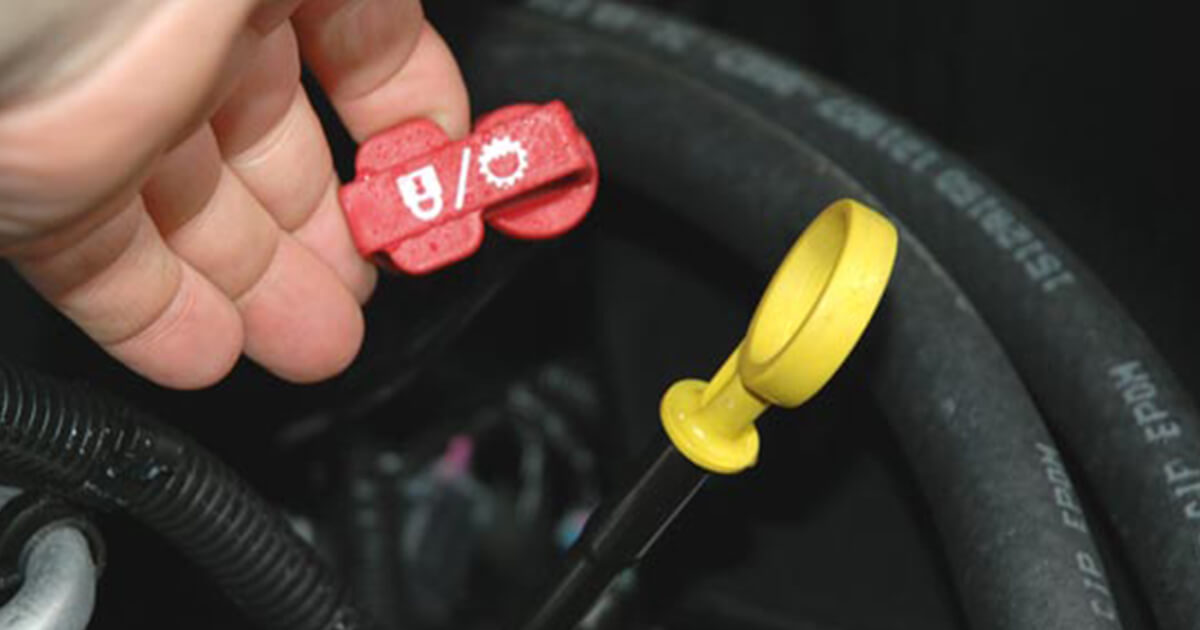 Advanced Gearbox oil change. Motor Sport Co